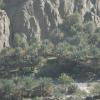 Oman 2011 222