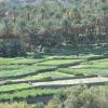 Oman 2011 239