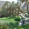 Oman 2011 246