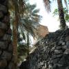 Oman 2011 284